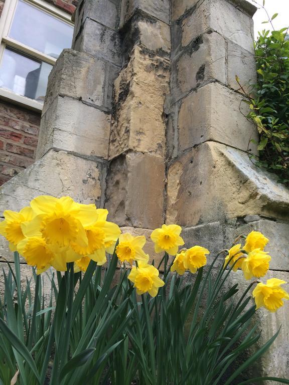 فندق The York Priory المظهر الخارجي الصورة